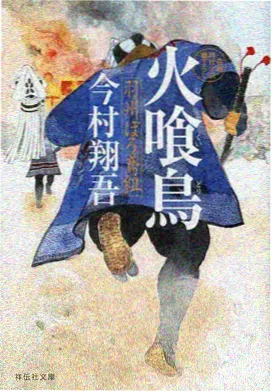 石坎梯壁特写与砌石缝中的草