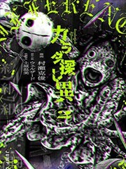 高处俯瞰的石坎梯田平行线条与草色